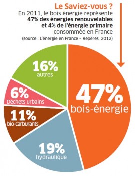 Le Bois-énergie, Première énergie Renouvelable Made In France ...