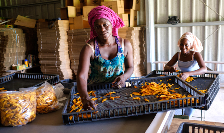 Les bioénergies au service des PME agroalimentaires en Afrique de l’Ouest