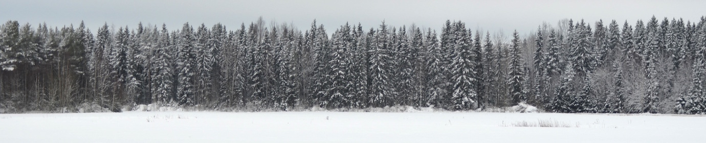 t en Finlande, photo Frédéric Douard