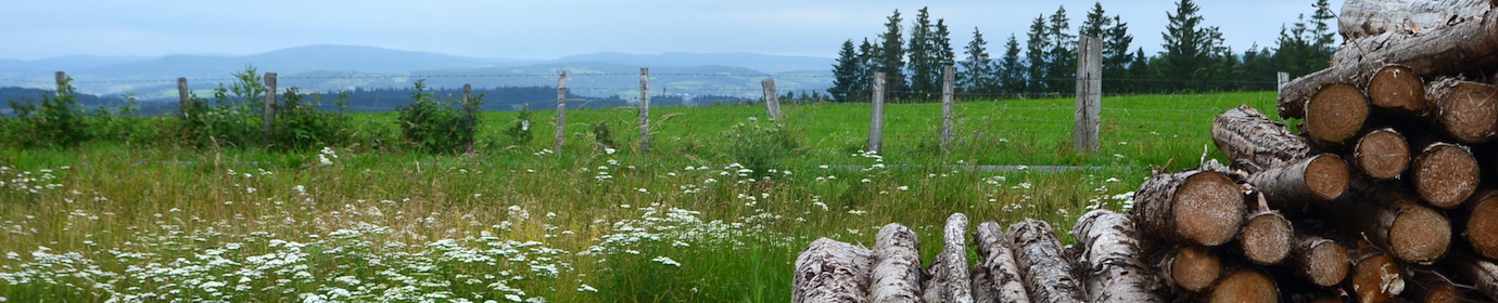 La bioénergie agricole et forestière, photo Frédéric Douard