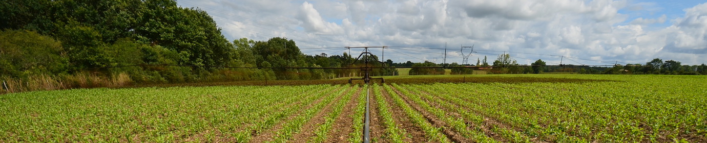 e d’épandage de digestat de méthanisation au cordon, photo Frédéric Douard