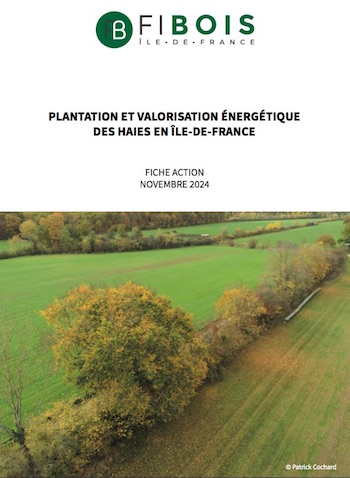 Planter des haies boisées en Île-de-France pour l’environnement et la production de bois-énergie