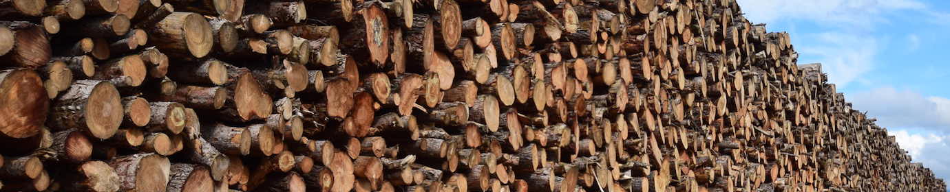 Pile de bois-énergie en séchage naturel, photo Frédéric Douard