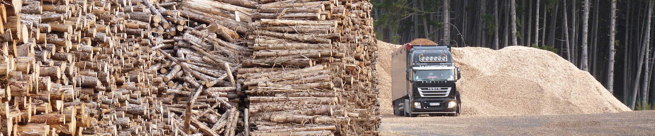 Plateforme de Bioénergie Lozère, photo Frédéric Douard